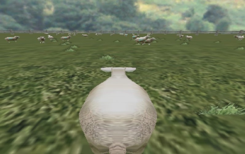 Crazy Cattle 3D